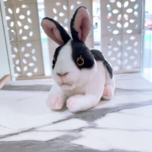 Conejo con manchas negras