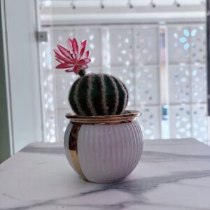 Suculenta con flor rosa artificial