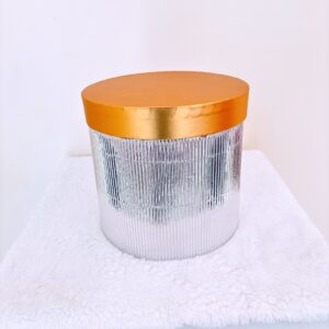 Caja cilíndrico plateado