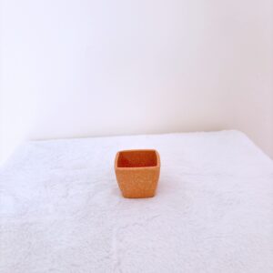 Macetas pequeñas tomate