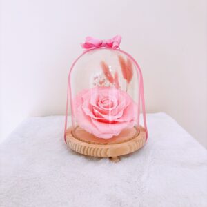 Cúpula flor rosa con lazo rosa