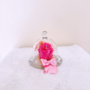 Cúpula rosa con rabo de conejo