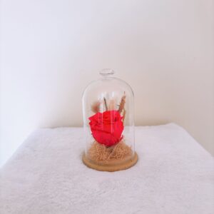 Cúpula fucsia con rabo de conejo