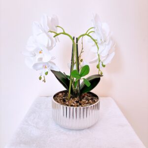 Maceta phalaenopsis 14 flor 40cm