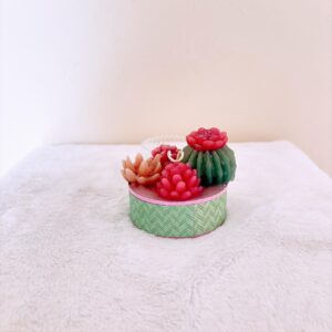Velas con cactus
