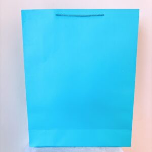 Funda celeste grande