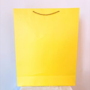 Funda amarillo grande