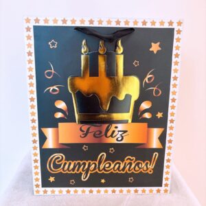 Funda negra peq. F.C