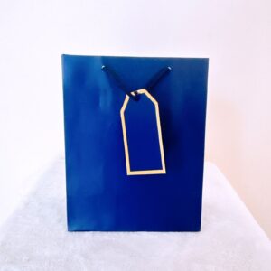 Funda azul peq.