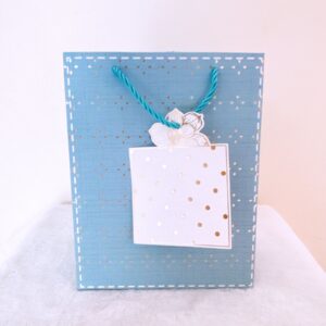 Funda celeste peq.