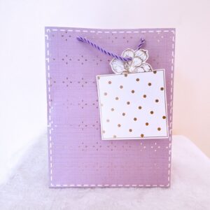 Funda morada peq.
