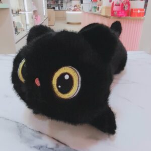 Gato Negro