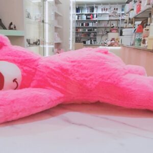 Oso Lotso Dormido