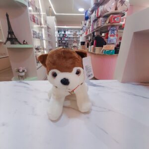 PERRO CON COLLAR