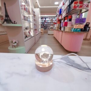 Esfera de delfines