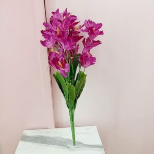 Orquidia - Morada