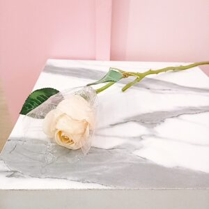 Rosa Blanca