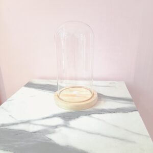 cupula de vidrio con base de madera cm12x21