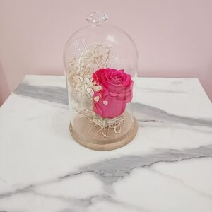 Cúpula fucsia