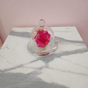 Cupula fucsia