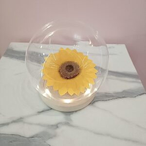 Cúpula Con Luz - Girasol Eterno