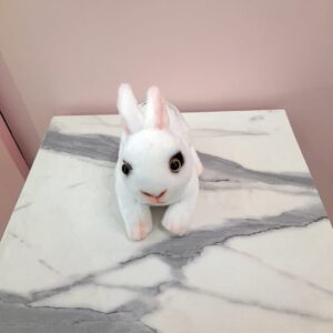Peluche de conejo