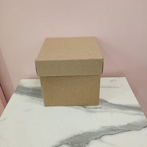 Caja de Carton Peq