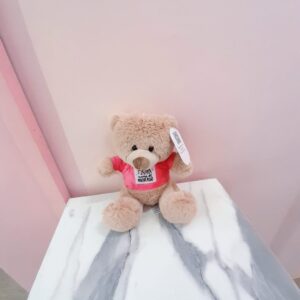 Oso Pequeño con camisa rosa