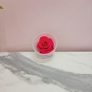 Rosas eternas fucsia