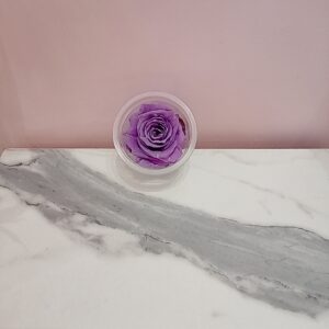Rosas eternas lila