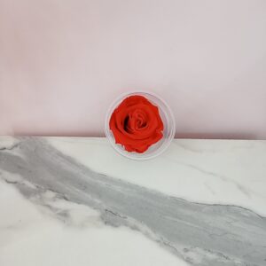 Rosas eternas rojas