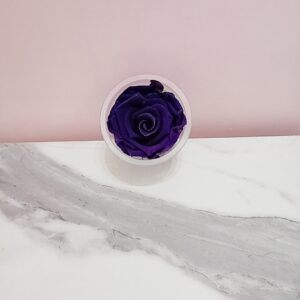 Rosas eternas moradas