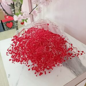 Velo de novia rojo