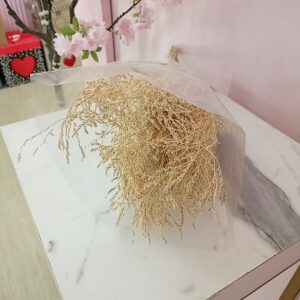 Ramo ¨pasto pluma¨