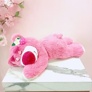 Oso Lotso Dormido